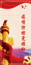 疫情防控党旗红